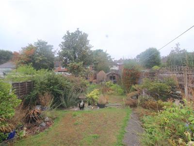 Picture 11